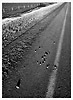 Rocks on Road